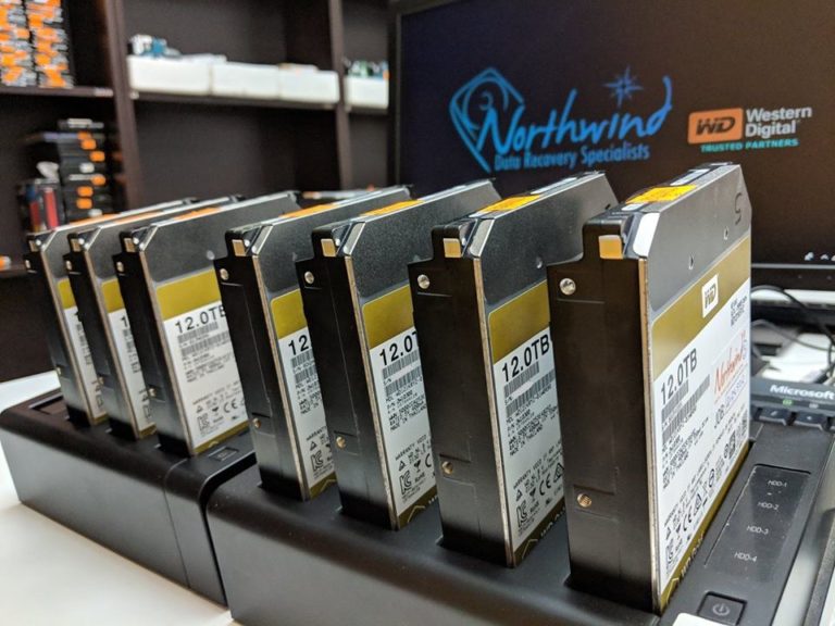 wd raid data recovery